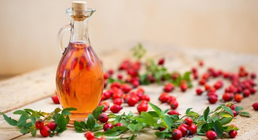 Is Rosehip Oil Good for Oily Skin thevenusface