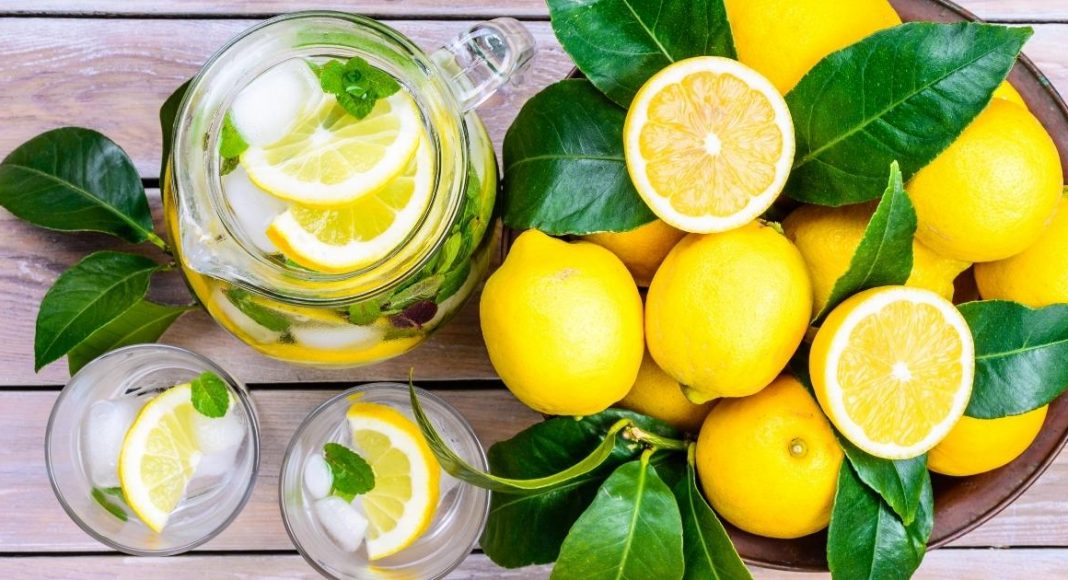 Is Lemon Good for Oily Skin thevenusface