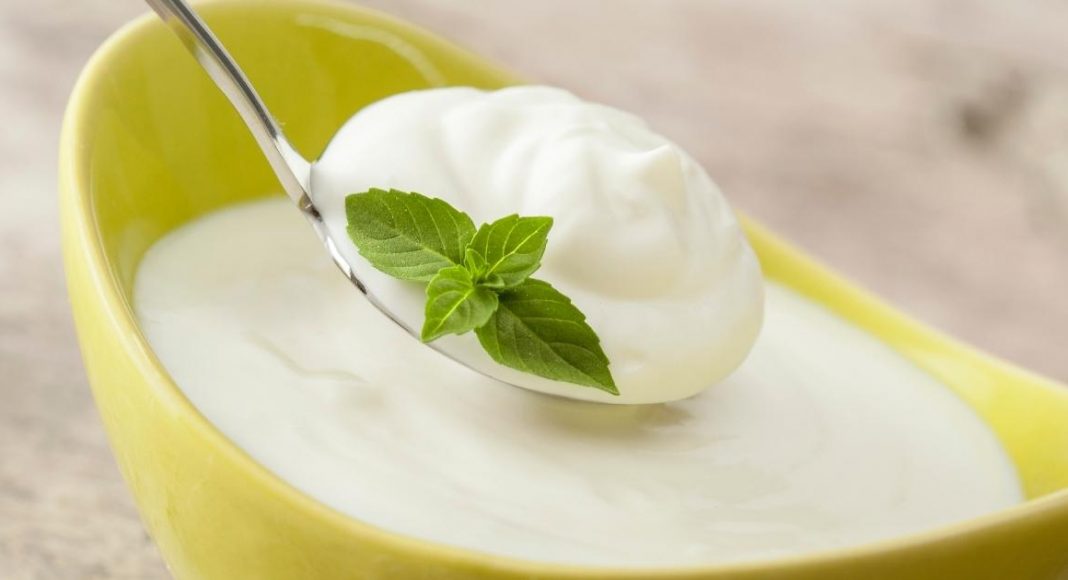 Is Yogurt Good for Oily Skin thevenusface