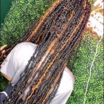 dark yellow brown butterfly locs with color thevenusface