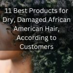 11 Best Products for Dry Damaged African American Hair thevenusface