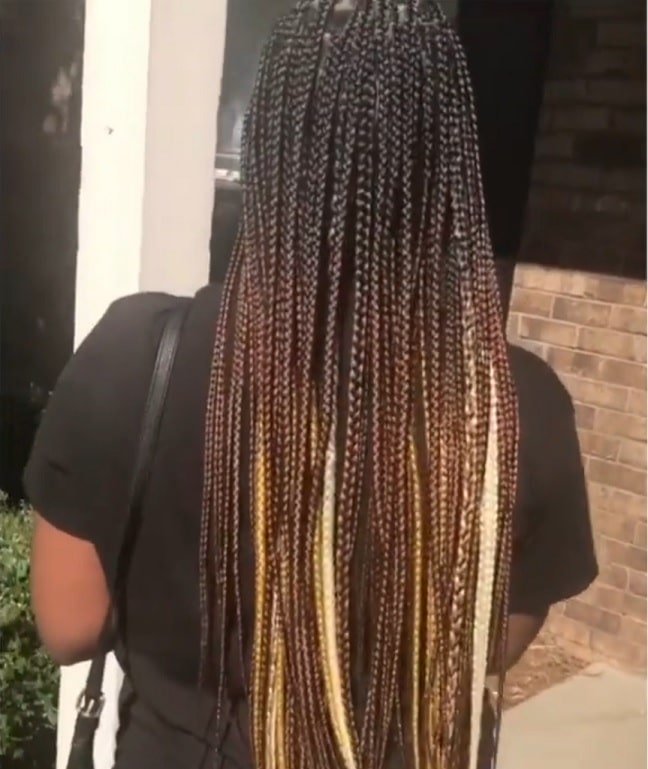 Braided White Hair of Venus with Extensions