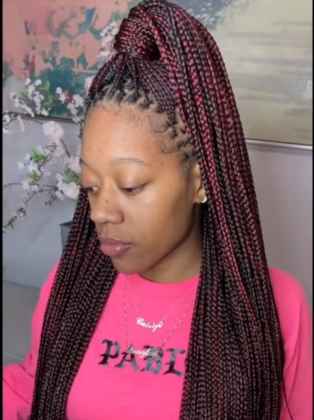 Burgundy and Black Braids