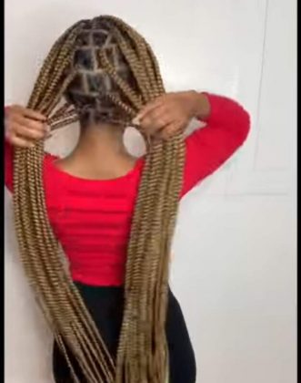 44 Knotless Braids With Color Photos for Haircut Ideas