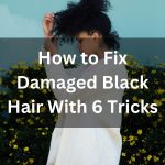 How to Fix Damaged Black Hair With 6 Tricks thevenusface
