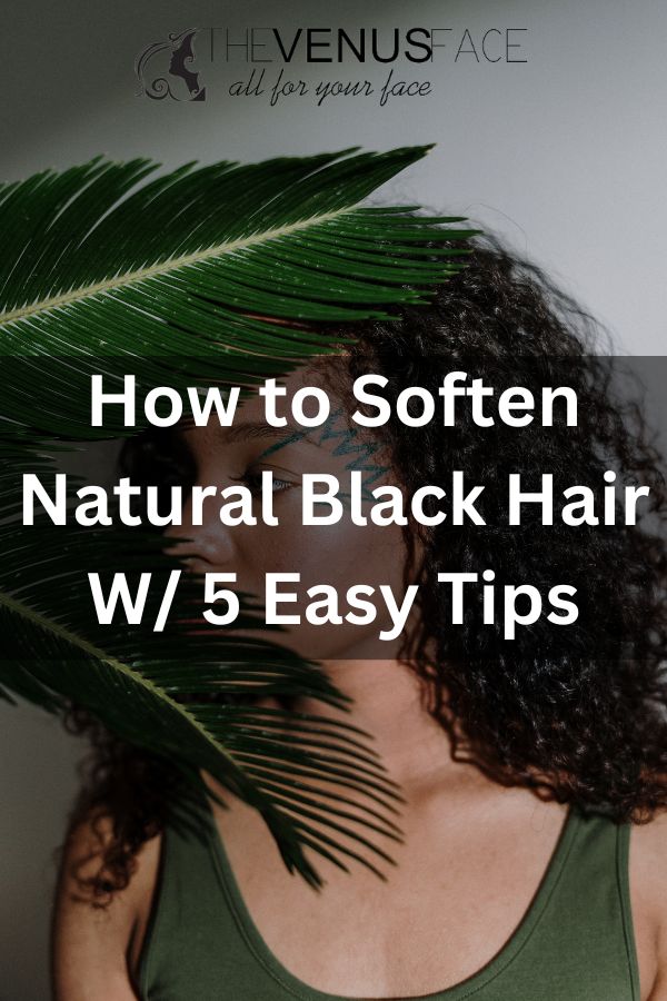 How to Soften Natural Black Hair thevenusface