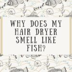 Why does my blow dryer smell like fish