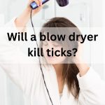 Will a blow dryer kill ticks
